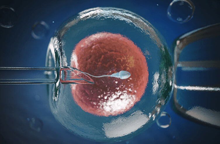 Test Tube Baby